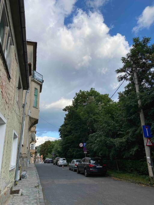 Hidden Gem In The Center Of The City * Brașov